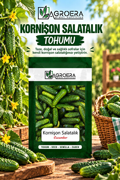 AGROERA Kornişon (TURŞULUK) Salatalık Tohumu 100 Adet
