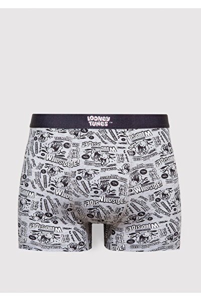 Mavi Tazmanya Canavarı Baskılı Gri Boxer 0911983-24386