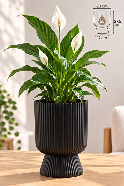 ToXA Ayaklı Deliksiz Saksı 20 cm (5 Litre) Dekoratif Plastik Çiçek Saksısı