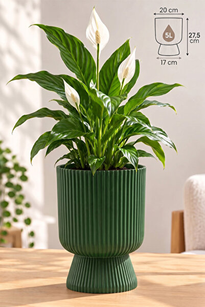 ToXA Ayaklı Deliksiz Saksı 20 cm (5 Litre) Dekoratif Plastik Çiçek Saksısı