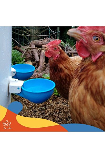 Choice 10pcs Automatic Chicken Drinker Bowl Duck Drinking Cup Chicken Feeder ...