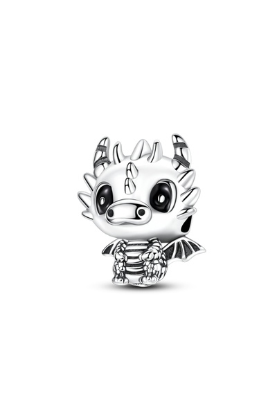 Choice41 TTC476 925 Sterling Silver Charms Beads Passport Dog Shoes Dangle Fi...