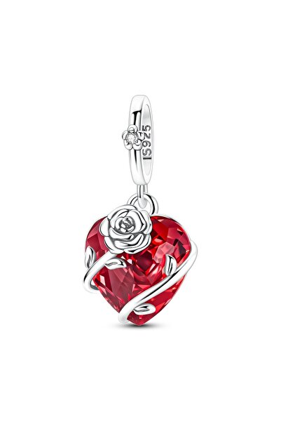 Choice1 TTC523 925 Sterling Silver Charms Beads Passport Dog Shoes Dangle Fit...