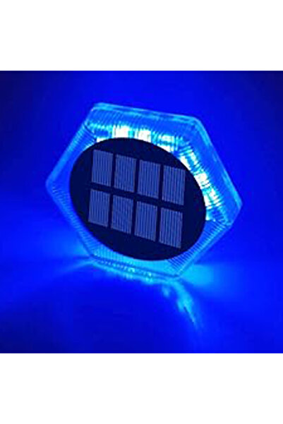 Choice EL-SD-4-1B أضواء حديقة LED خارجية تعمل بالطاقة الشمسية باللون الأزرق، ...