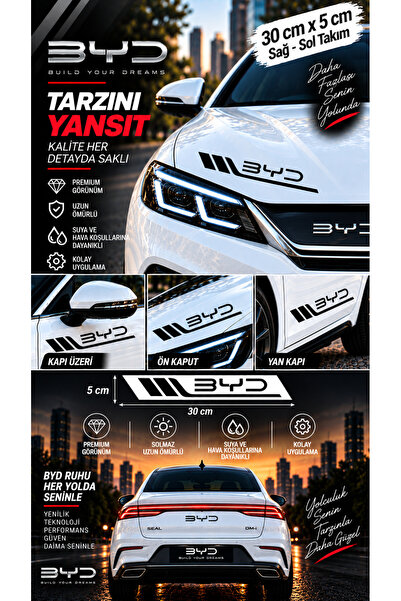 İntervex Global Byd Compatible Sports Body Stripe Sticker Right Left Side Doo...