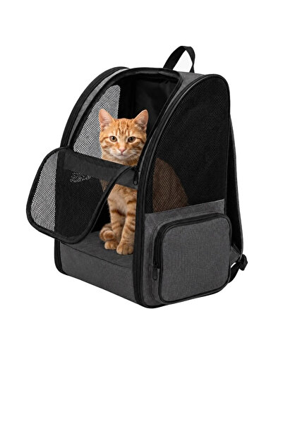 petpugo Premium Sert Gövdeli Kedi Köpek Taşıma Çantası Bükülmez Dayanıklı Nef...