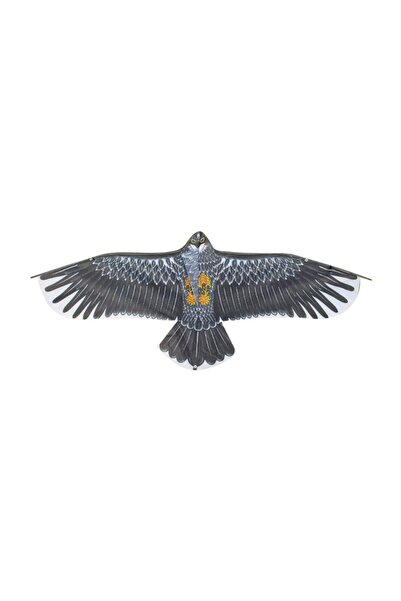 Choice Type A 1.1m Eagle Kite With 30 Meter Kite Line Large Eagle Flying Bird...