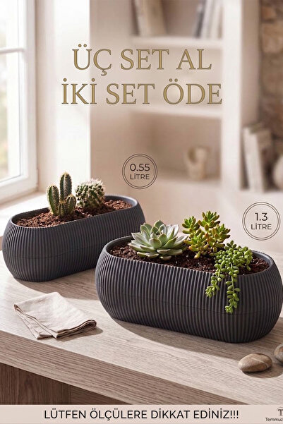 TEMMUZ HOME 2 Adet 2 Boy Mercan Uzun Mercan Saksı Seti Karasu Plastik Sukulen...