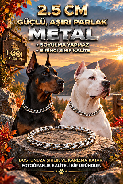 LOOL PREMİUM METAL GÜMÜŞ KÖPEK TASMA KALIN ZİNCİRİ TASMA