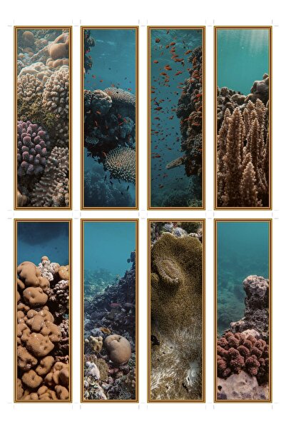 OEM Semne de Carte Set de 8, Biodiversitate Recif de Corali, Design Unic, Car...