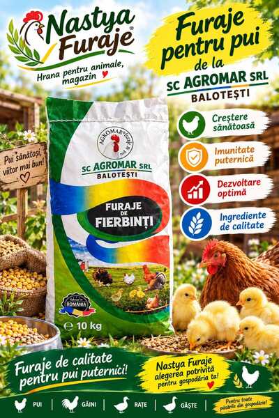 Agromar Furaj complet pentru pui brizurat. Imunitate si dezvoltare optima