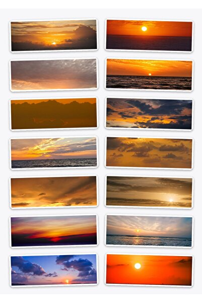 OEM Sunset Sticker Pack, 14 Decorative Stickers, Premium Durable Vinyl, Uniqu...