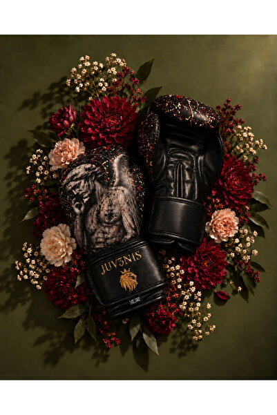 Divine Angel Art Edition Boks Eldiveni