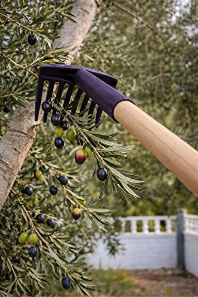 Genel Markalar PLASTİK 1 ADET ZEYTİN TOPLAMA TIRMIĞI (ZEYTİN TOPLAMA TARAĞI)
