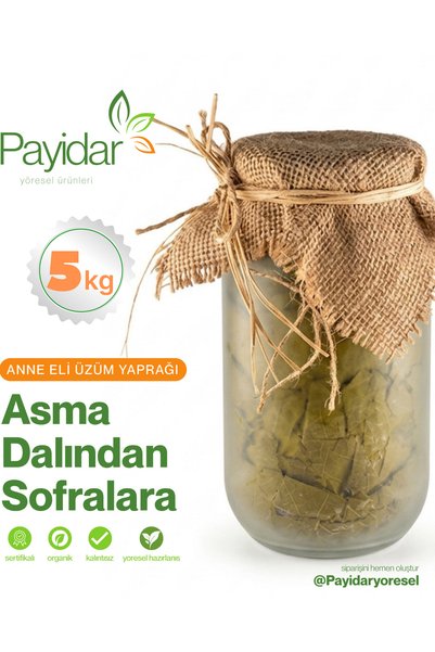 Doğal köyden Salamura üzüm yaprağı yemeklik ince ve damarsız yeni mahsül 5 KG