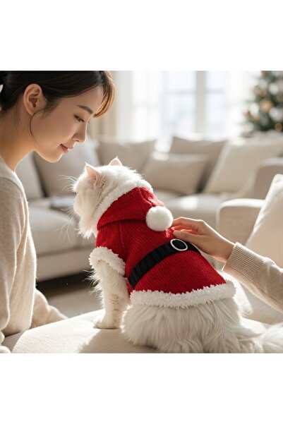Lady Fify Hooded Santa Claus Costume for Cat and Dog