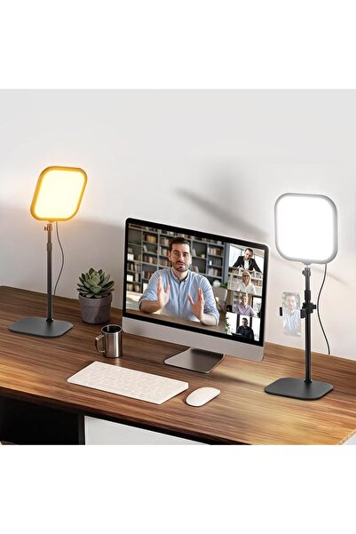 NEEWER BASICS 2 Pack 10.8" Video Conference Lighting with Desk Stands/Phone H...