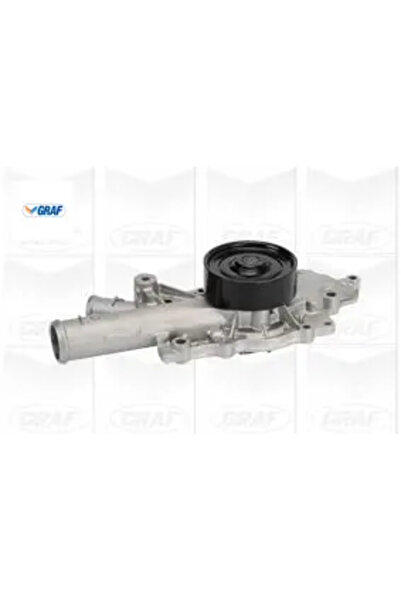 GRAF Devırdaım pompası s-class om613 w220 a6132000601