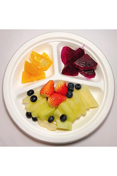 GENERAL [10 Inch, 50 Pieces] 3-Compartment Disposable Plates, Nature Composta...