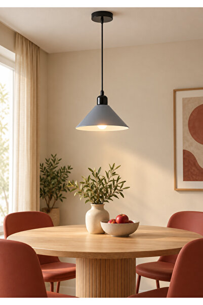 Generic Brand Gray Suspended Ceiling Light with E27 Base Ha/E6887/260Gy+Wh