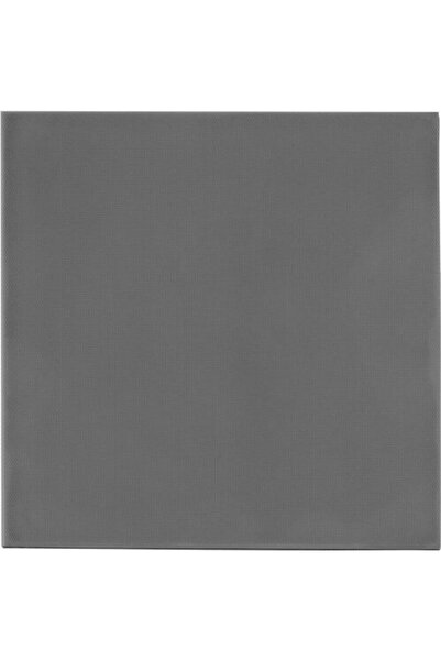 Thermal Grizzly Pad Termic Minus Pad Extreme 2 100 x 100 x 2 mm Gri