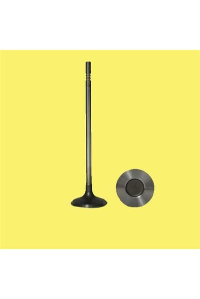 Güneş 0830-0831 Subap Takımı Emme Egzoz P306 Xsara P806p605 R Xm II Xantia P406 Evasıon Xu10j4r 2.0 16v