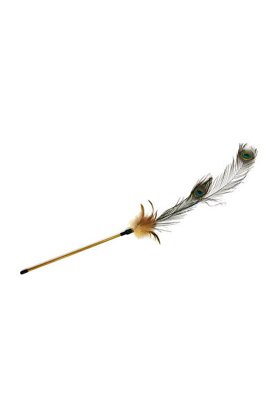 Generic Brand Cat Teaser Wand with Peacock Feather