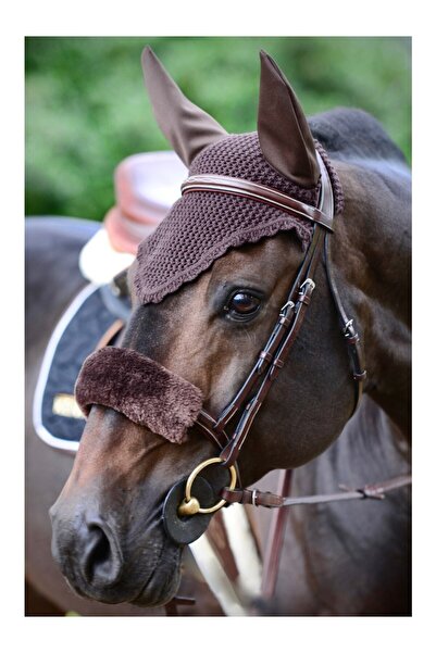 KENTUCKY HORSEWEAR غطاء حماية لحزام الأنف من صوف الخراف