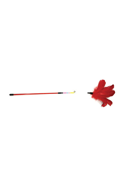 Generic Brand Cat Teaser Wand with Red Feathers