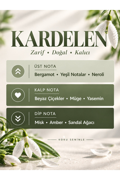 WÖRF Kardelen 8 ml Ayna Kokusu – Ahşap Kapaklı Araç Parfümü