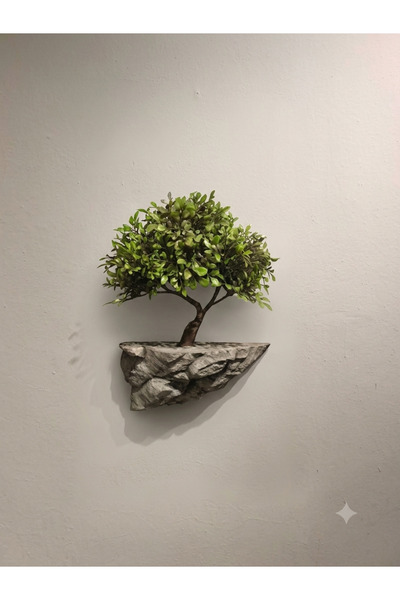 Kastasaksı 15x30x30 cm Özel Tasarım Bonzaili Duvar dekoru