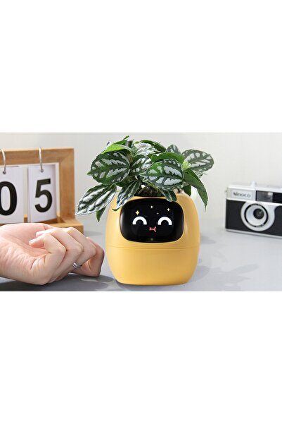 NO BRAND Jardinieră inteligentă IVY SMART PLANTER husă pentru plante PLANTSIO...