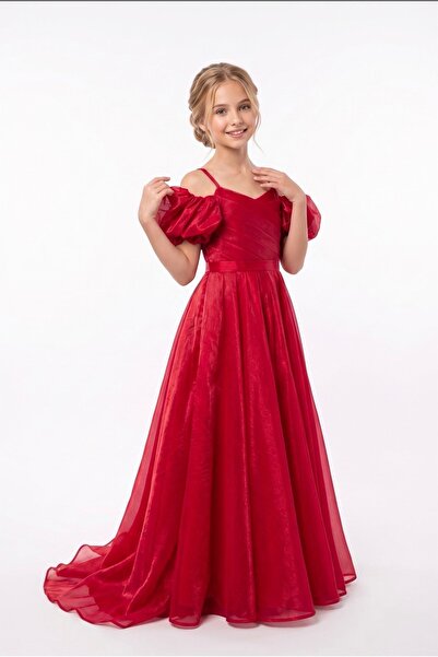 Baby Aden Babyaden Balloon Sleeve Long Glitter Fabric Girls Satin Evening Dress