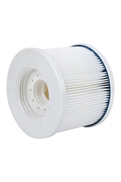 Noonedibs Cartuș Filtru Piscină Inflabilă FD2090, Material PET, Înlocuire Rap...