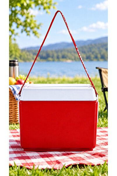 Termolar 24L Insulated Cooler Box with Carry Handle, Portable Ice Chest for F...