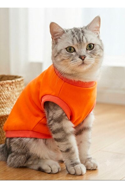 atelyu Dog and Cat Orange t Shirt
