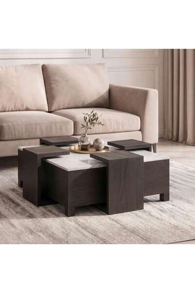 PAN HOME BELLER COFFEE TABLE SET 1+4 MARBLE - WHITE & DARK BROWN