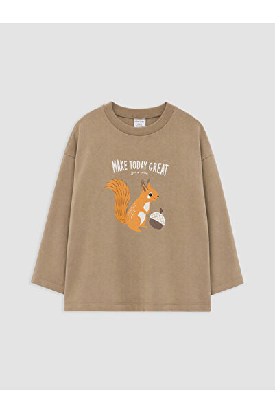 LC Waikiki Crew Neck Printed Men's T-Shirt