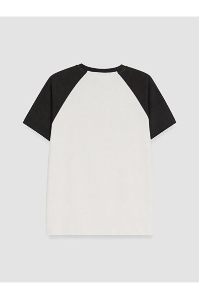 LC Waikiki Quality Parts from Çelebi Store Zero Roba Yaka Men's T-Shirt