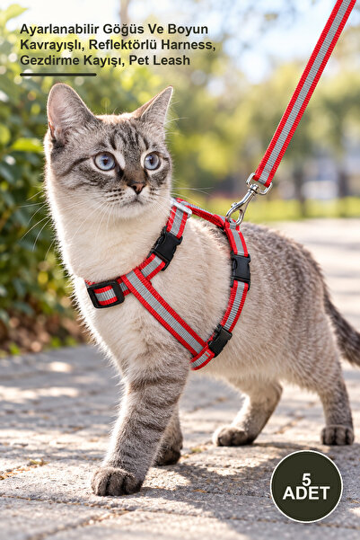 Yenilig 5 Pieces Reflective Cat Collars – Adjustable Chest and Neck Harness, ...