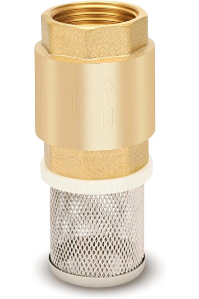 KASTWAVE Brass Foot Valve, Water Pump Bottom Valve, Non Return Spring Vertica...
