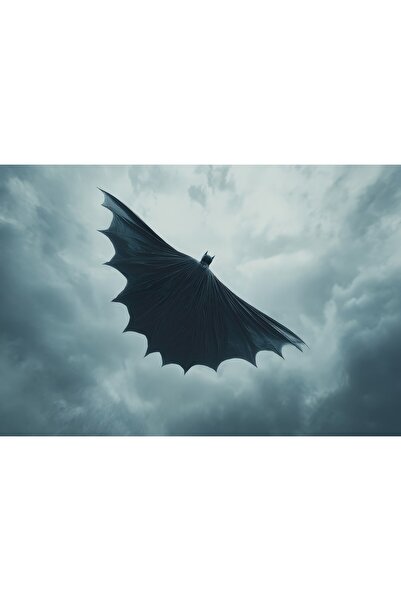 OEM Poster Existența lui Batman, 61x90 cm, poster4679