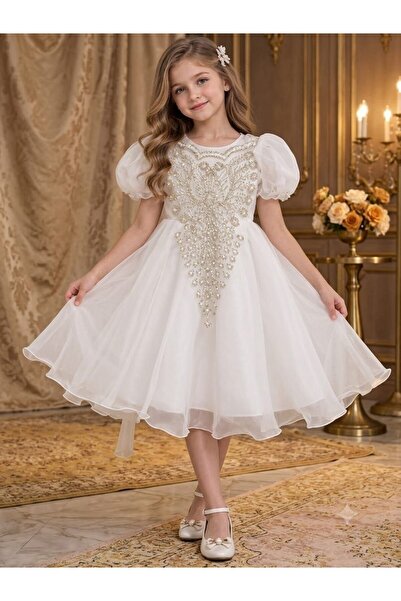 Generic Brand Girl's Dress Evening Gown with Embroidery