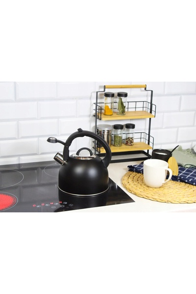 Brunbeste Ceainic din oțel cu fluier, pentru gaz și inducție, 2.5L, negru, bb...