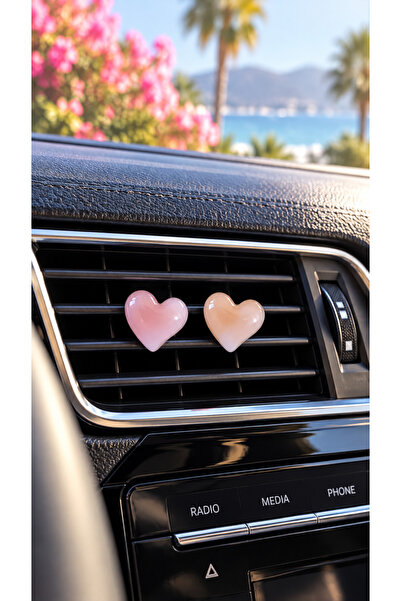 TEMUNGUR Salmon & Pink Heart In-Car Air Conditioning Ornament Set of 2