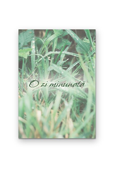 OEM Poster Carton 250g A4, Tablou perete cu citat O zi minunata, Decor inspir...