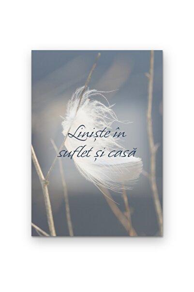 OEM Poster Carton 250g A4 Liniște în suflet și casă, Tablou decorativ motivaț...