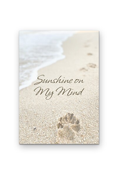 OEM Poster Cardboard 250g A4 Sunshine in Mind, Motivational wall decor, A4