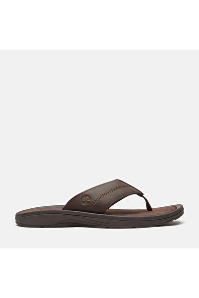 Timberland Originals Slide Sandal
