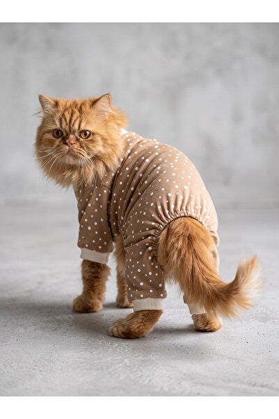 Kemique Latte Sprinkles Kedi Tulumu | Pamuklu Penye Kedi Kıyafeti | Küçük Irk...